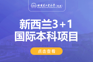 哈尔滨工业大学(威海)新西兰3+1留学项目招生简章