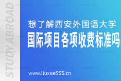 想了解西安外国语大学国际项目各项收费标准吗？