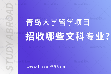 青岛大学留学项目招收哪些文科专业？