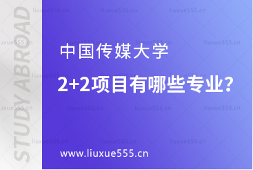 中外合作办学2+2项目有哪些专业？