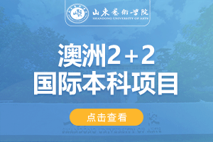 山东艺术学院澳洲2+2国际本科项目招生简章