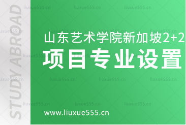 山东艺术学院新加坡2+2国际本科项目有哪些专业呢？