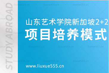 山东艺术学院新加坡2+2国际本科项目培养模式