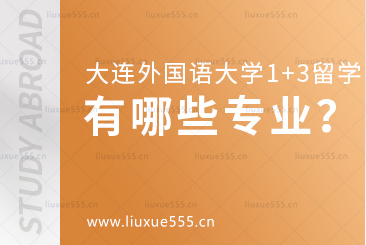 大连外国语大学1+3国际本科项目有哪些专业？