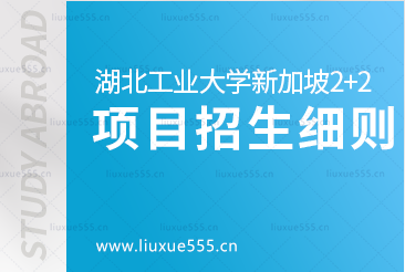 湖北工业大学新加坡2+2国际本科项目招生细则