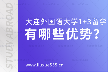 大连外国语大学1+3国际本科项目有哪些优势？