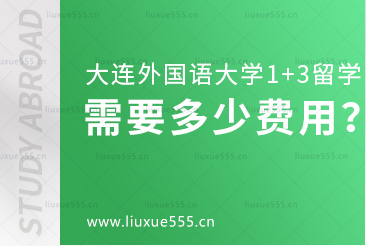 大连外国语大学1+3国际本科项目需要多少费用？