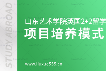 山东艺术学院英国2+2国际本科项目培养模式是怎样的呢？