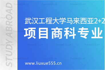 武汉工程大学马来西亚2+2国际本科项目有哪些商科专业呢？