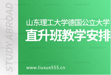 山东理工大学德国1+4预科项目德国公立大学直录班教学进程安排