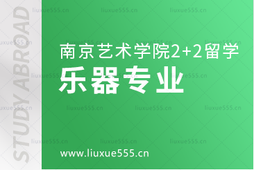 南京艺术学院2+2留学能收哪些乐器类专业？