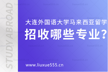大连外国语大学马来西亚国际本科项目招收哪些专业？