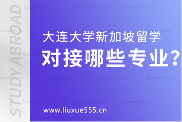 大连大学新加坡国际本科项目对接哪些专业？