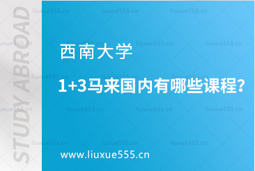 西南大学1+3马来西亚留学国内有哪些课程？