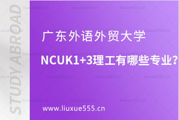 广东外语外贸大学NCUK1+3理工有哪些专业？