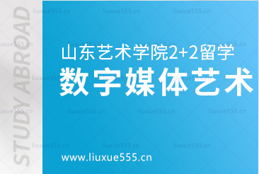 山东艺术学院2+2国际本科项目数字媒体艺术海外院校可对接什么专业？