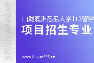 山东财经大学澳大利亚悉尼大学1+3留学项目招生专业