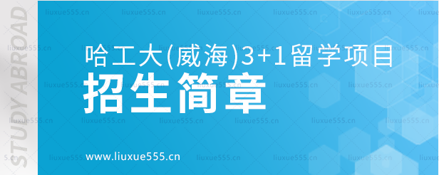 哈尔滨工业大学（威海）3+1留学项目招生简章.png