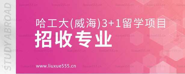 哈工大（威海）3+1留学项目招收专业.png