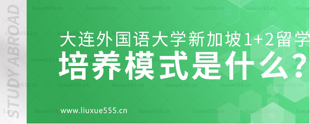 大连外国语大学新加坡1+2国际本科项目培养吗，模式是什么？.png