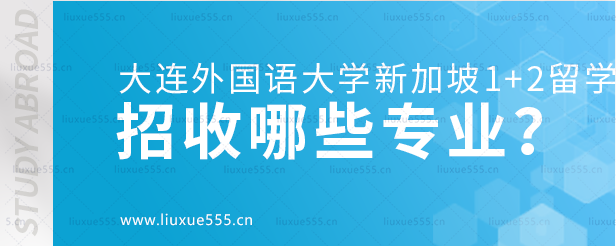 大连外国语大学新加坡1+2国际本科项目招收哪些专业？.png