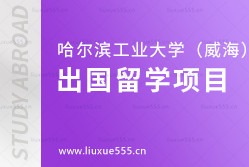 哈尔滨工业大学（威海）出国留学项目有哪些？