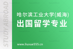 哈尔滨工业大学（威海）出国留学专业设置