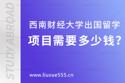 西南财经大学出国留学项目需要多少钱？