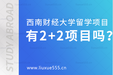 西南财经大学有2+2留学项目吗?