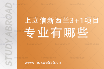 上海立信会计金融学院新西兰SQA3+1国际本科项目开设专业有哪些？