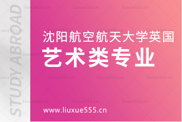 沈阳航空航天大学英国1+3国际本科项目艺术类可选专业