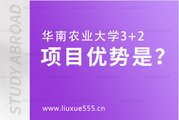 华南农业大学3+2项目有什么优势？