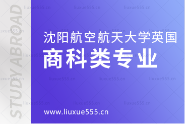 沈阳航空航天大学英国1+3国际本科项目商科类可选专业