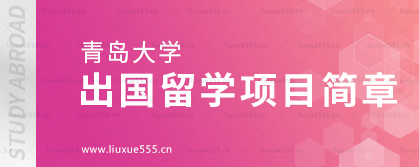 青岛大学出国留学项目简章.png