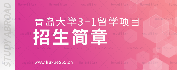 青岛大学3+1留学项目招生简章.png