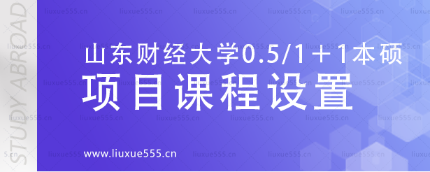 1739326987944486.png 2-1.png